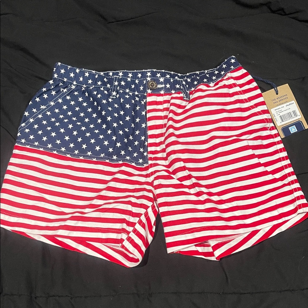 chubbies Men's shorts
